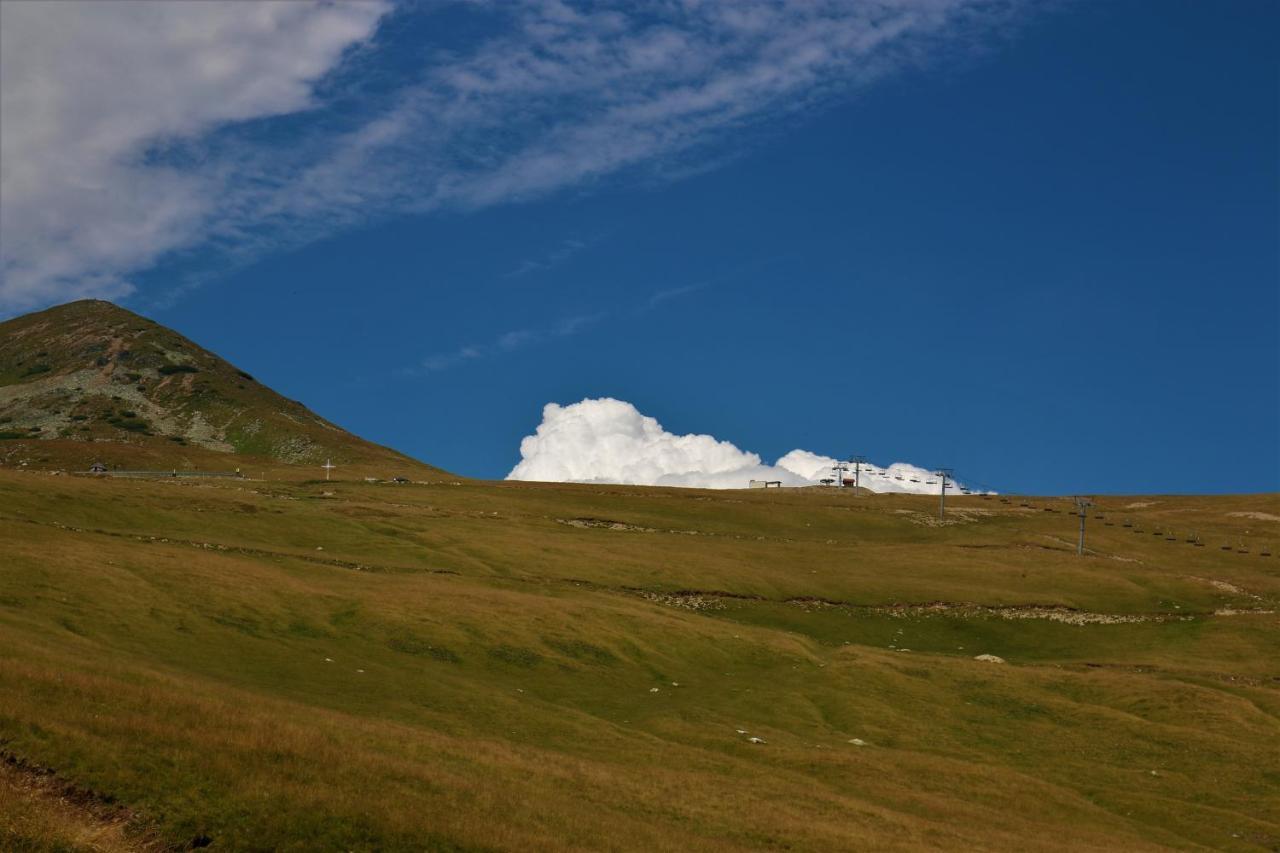 Cabana Transalpina ルンカ エクステリア 写真