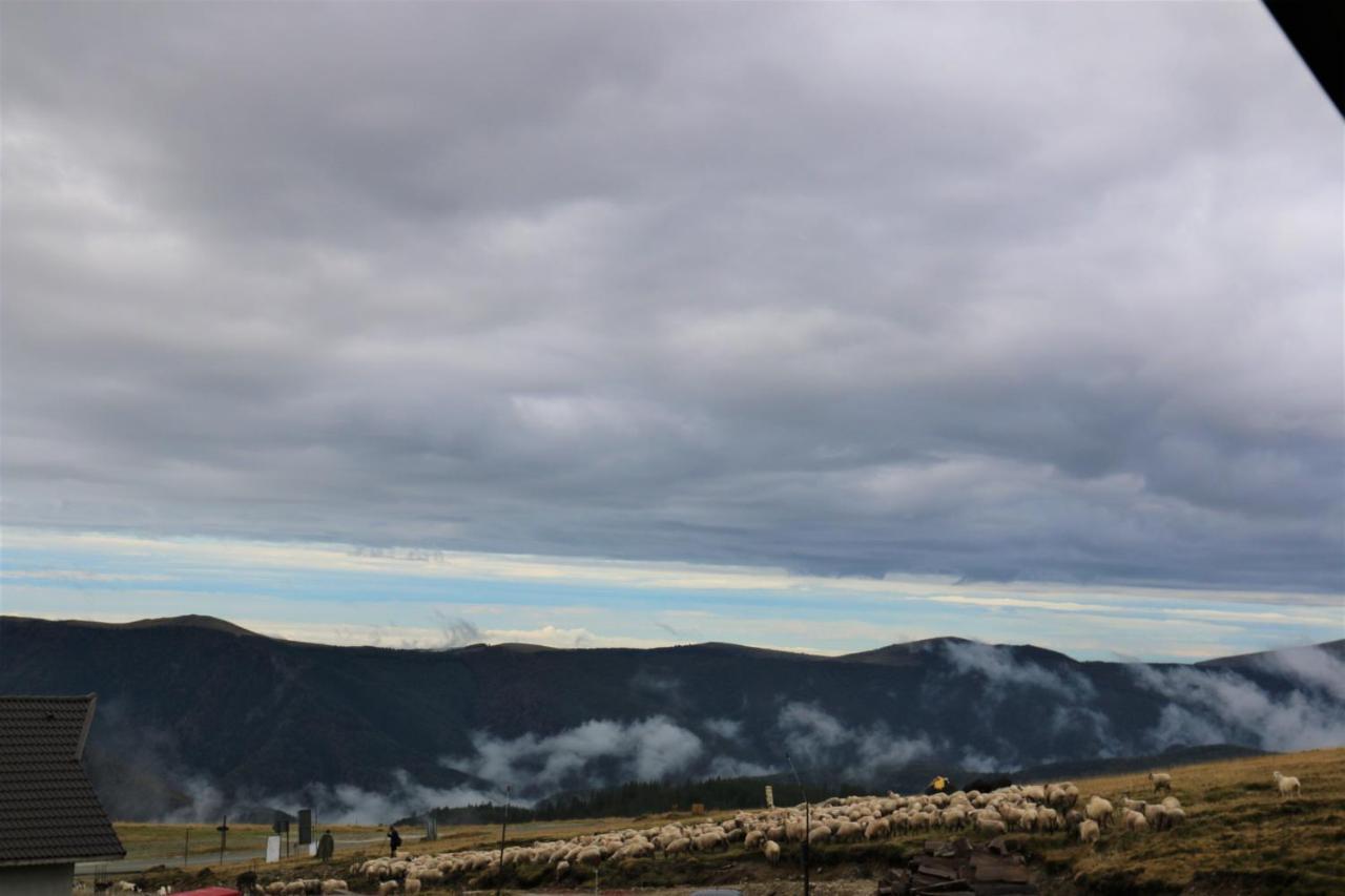 Cabana Transalpina ルンカ エクステリア 写真