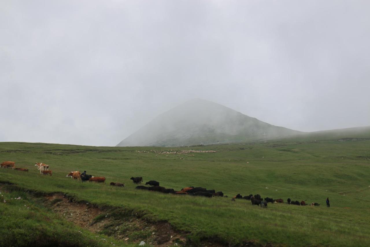 Cabana Transalpina ルンカ エクステリア 写真