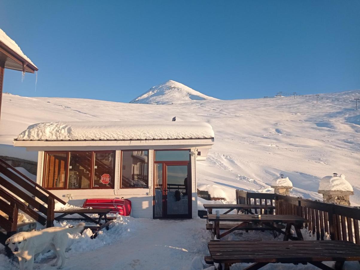 Cabana Transalpina ルンカ エクステリア 写真