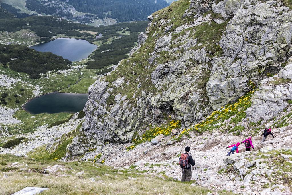 Cabana Transalpina ルンカ エクステリア 写真
